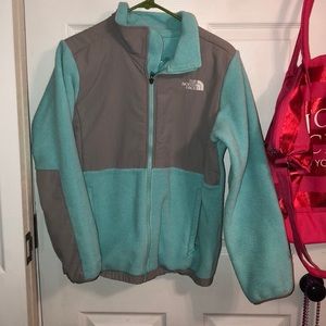 blue fleece north face